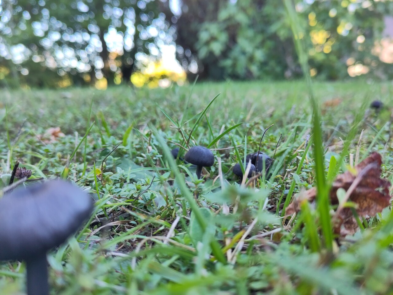 image from Bilan de l'été